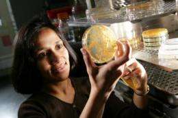 Researchers take aim at hard-to-treat fungal infections