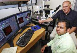 Researchers create prostate cancer 'homing device' for drug delivery