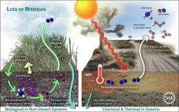 Climate Change, Nitrogen Loss Threaten Plant Life in Arid Desert Soils