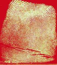 Researchers give high marks to new technology for fingerprint identification
