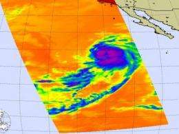 Tropical Storm Ignacio may get some company in the eastern Pacific
