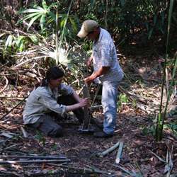 Ancient Maya Practiced Forest Conservation -- 3,000 Years Ago