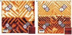 Researchers can precisely manipulate polarization in nanostructures