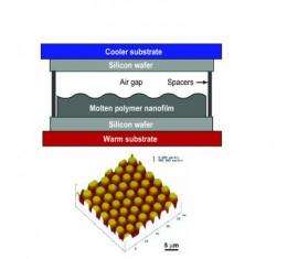 Scientists solve decade-long mystery of nanopillar formations