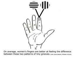 Small Fingers More Touch Sensitive