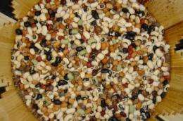 Researchers develop genetic map for cowpea, accelerating development of new varieties