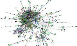 Researchers show how to divide and conquer 'social network' of cells