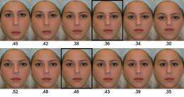 Researchers discover new 'golden ratios' for female facial beauty