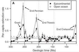 Paleontologists find extinction rates higher in open-ocean settings during mass extinctions