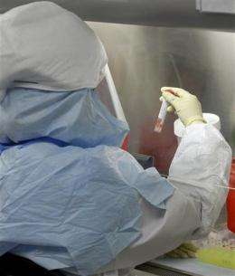 Scientists struggle to understand swine flu virus (AP)