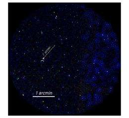 Galactic X-ray emissions originate from stars