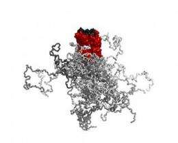 Researchers prolong the half-life of biopharmaceutical proteins