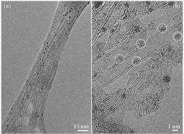 Nanoparticles go platinum: NCEM instruments provide key images