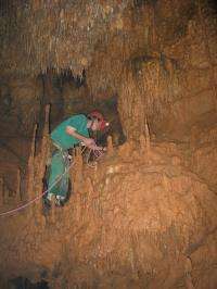 Stalagmites in Northeast Brazilian Caves Confirm 9,000-Year Model of Diminishing Rainfall