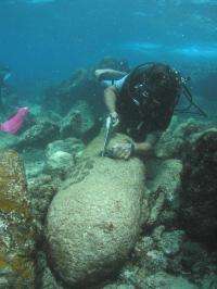 Link between unexploded munitions in oceans and cancer-causing toxins determined