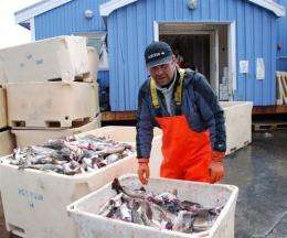 A Greenland fisherman