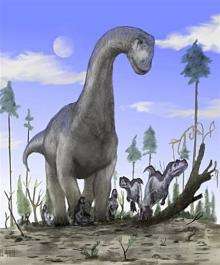 A handout image obtained from the University of Portsmouth in 2008 shows an artist's impression of a sauropod