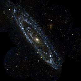 A large galaxy in Andromeda is seen in this file photo