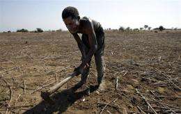 A Malawian farmer works at a field