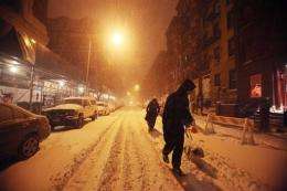 A man walks his dog in the snow in the East Village