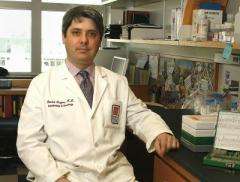 A miR boost enables acute leukemia cells to mature