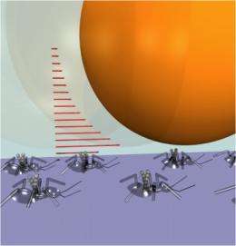 A new kind of micro-mobility: Moving tiny particles using magnetic fields