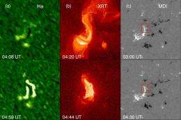 A New View of Coronal Waves
