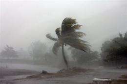 A palm tree is hit by winds near the beach in La Ceiba, Honduras