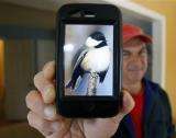 App in the hand finds birds in bushes as you roam (AP)