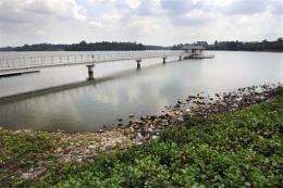 A view of one of the water catchment areas of the Upper Seletar reservoir in Singapore