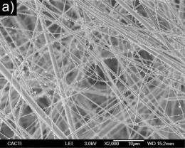 Bioactive glass nanofibers produced