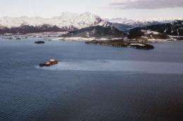 Bioavailable contaminants come from the Exxon Valdez oil catastrophe