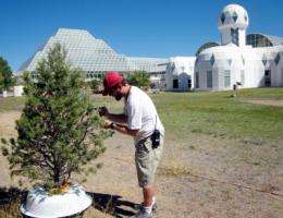 Biosphere 2 experiment shows how fast heat could kill drought-stressed trees