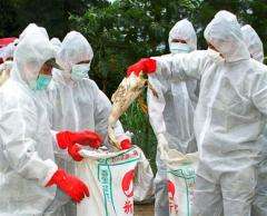 Bird flu virus remains infectious up to 600 days in municipal landfills