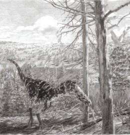Bizarre new horned tyrannosaur from Asia described