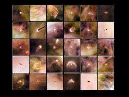 Born in beauty: Proplyds in the Orion Nebula