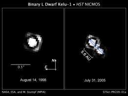 Brown Dwarfs Don't Hang Out With Stars