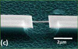 Caltech physicists create first nanoscale mass spectrometer