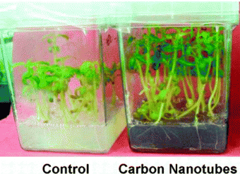 Can Nanotubes Help Your Garden Grow?