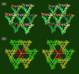 Chemists Reach from the Molecular to the Real World with Creation of 3-D DNA Crystals