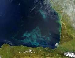 Clouds of blue and green phytoplankton swirl and twine in the waters of the Bay of Biscay