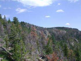 Deer Ridge, Rocky Mountain National Park