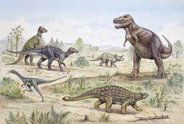 Dinosaurs declined before mass extinction