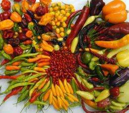 Domestication of Capsicum annuum chile pepper provides insights into crop origin and evolution