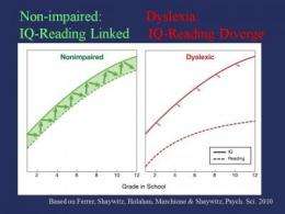 Dyslexia defined: New study 'uncouples' reading and IQ over time