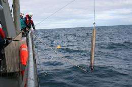 Endangered right whales found where presumed extinct