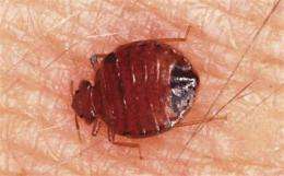 EPA looks for ways to not let the bedbugs bite (AP)