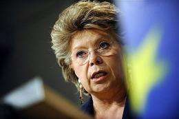 EU Information, Society and Media commissioner Viviane Reding
