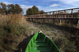 EU probes mismanagement in prized Spanish wetland (AP)