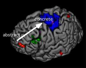 Evidence appears to show how and where frontal lobe works